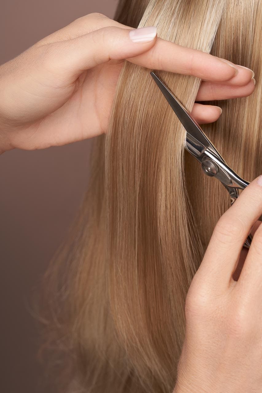 Inicio 4 Cortes de pelo