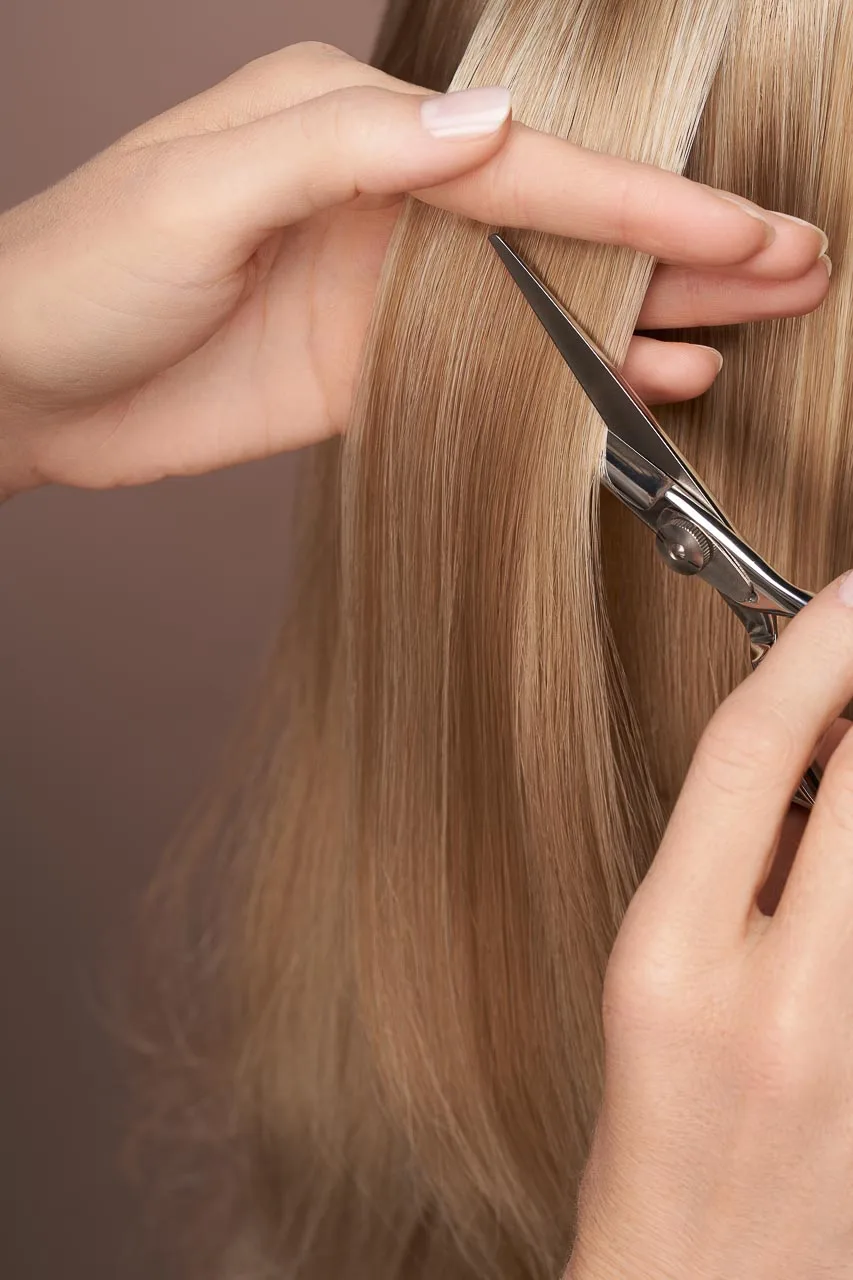 Inicio 4 Cortes de pelo